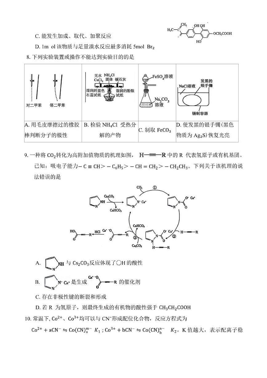 山东省泰山教育联盟2026届高三上1月联考化学试题(含答案)第3页