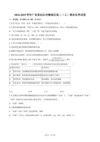 广东省汕头市潮南区2024-2025学年高二（上）期末化学试卷（含答案）