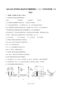 浙江省金华市卓越联盟2025-2026学年高二（上）月考化学试卷（12月份）（含答案）