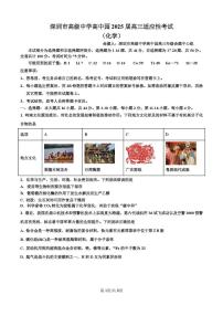 广东省深圳市高级中学高中园2025届高三下学期高考适应性考试化学试题（含答案）