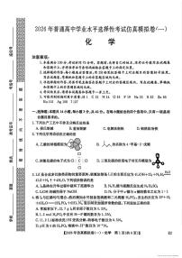 2026年高三上学期2月仿真模拟一化学试题及答案