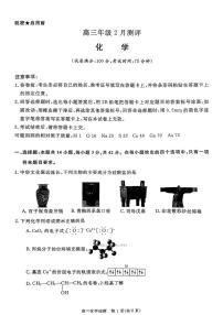 新未来2026年高三上学期期末2月化学试题+答案