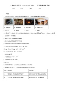 2024-2025学年广东省部分学校高二上学期期末联考化学试卷（学生版）