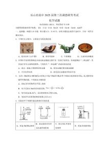 2025届四川省乐山市高三下学期第三次调查研究考试化学试题(含答案)