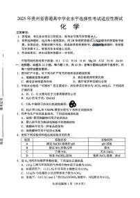 贵州2025年4月高三年级下学期适应性考试化学试卷(含答案)