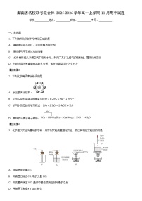 2025-2026学年湖南省名校联考联合体高一上学期11月期中化学试卷 含答案