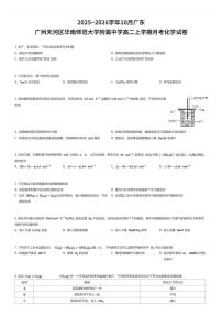 2025~2026学年10月广东广州天河区华南师范大学附属中学高二上学期月考化学试卷（有答案解析）
