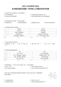 2025~2026学年12月山东济南历城区历城第一中学高三上学期月考化学试卷（有答案解析）