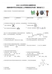 2024~2025学年四川成都青羊区成都树德中学光华校区高三上学期周测化学试卷(期末复习二)(有答案解析)