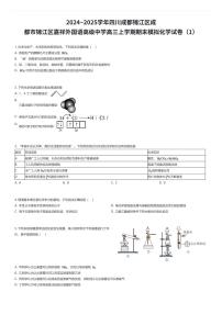 2024~2025学年四川成都锦江区成都市锦江区嘉祥外国语高级中学高三上学期期末模拟化学试卷（1）（有答案解析）