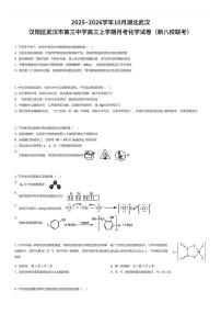 2025~2026学年10月湖北武汉汉阳区武汉市第三中学高三上学期月考化学试卷（新八校联考）（有答案解析）