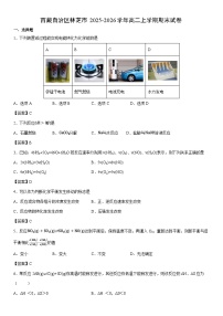2025-2026学年西藏自治区林芝市高二上学期期末 未优化化学试卷