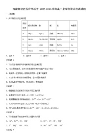 2025-2026学年西藏自治区拉萨市联考高一上学期期末考试   未优化化学试卷