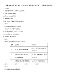 2025-2026学年安徽省鼎尖名校大联考高一上学期11月期中考试化学试卷