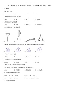 2024-2025学年浙江省温州市高一上学期期末考试（B卷）化学试卷（学生版）