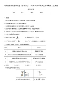 2024-2025学年河南省豫西北教研联盟（洛平许济）高三下学期第二次质量检测化学试卷（学生版）