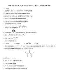 2024-2025学年山东省实验中学高二上学期1月期末考试化学试卷（学生版）