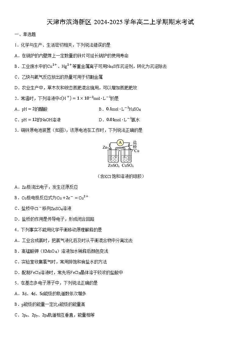 2024-2025学年天津市滨海新区高二上学期期末考试化学试卷(学生版)第1页