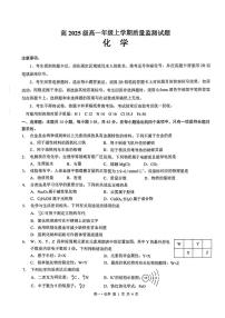 四川省泸州市2025-2026学年高一上学期期末质量监测化学试卷(含答案)