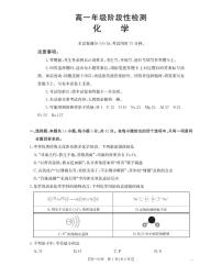 金太阳甘肃省陇南地区2025-2026学年高一上学期阶段性检测化学试卷（含答案）
