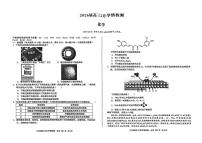 化学-安徽A10联盟2026届高三年级下学期2月学期检测暨开学考