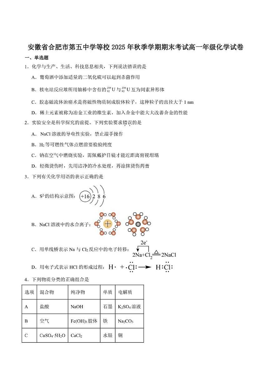 2025-2026学年安徽合肥市六校联考高一上学期期末考试化学试卷(含答案)第1页