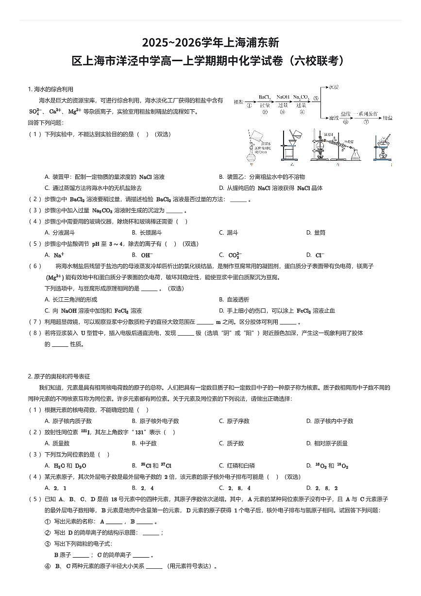 2025~2026学年上海浦东新区上海市洋泾中学高一上学期期中化学试卷(六校联考)(有答案解析)第1页
