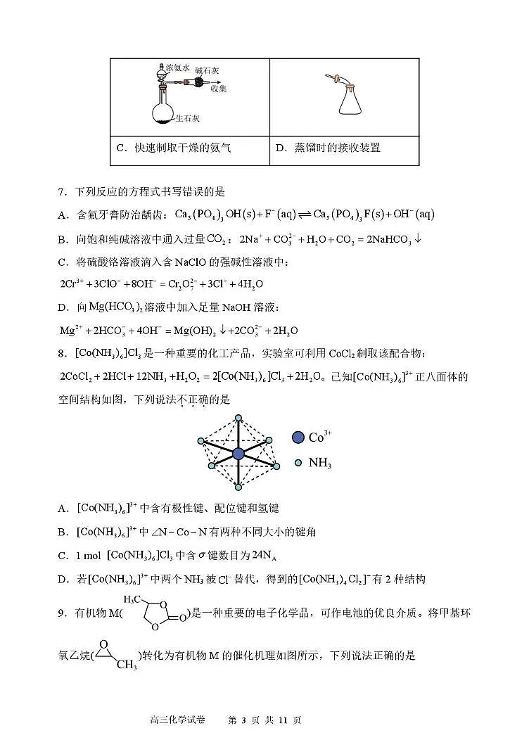 东北育才学校2026届高三下学期第六次模考化学试卷第3页