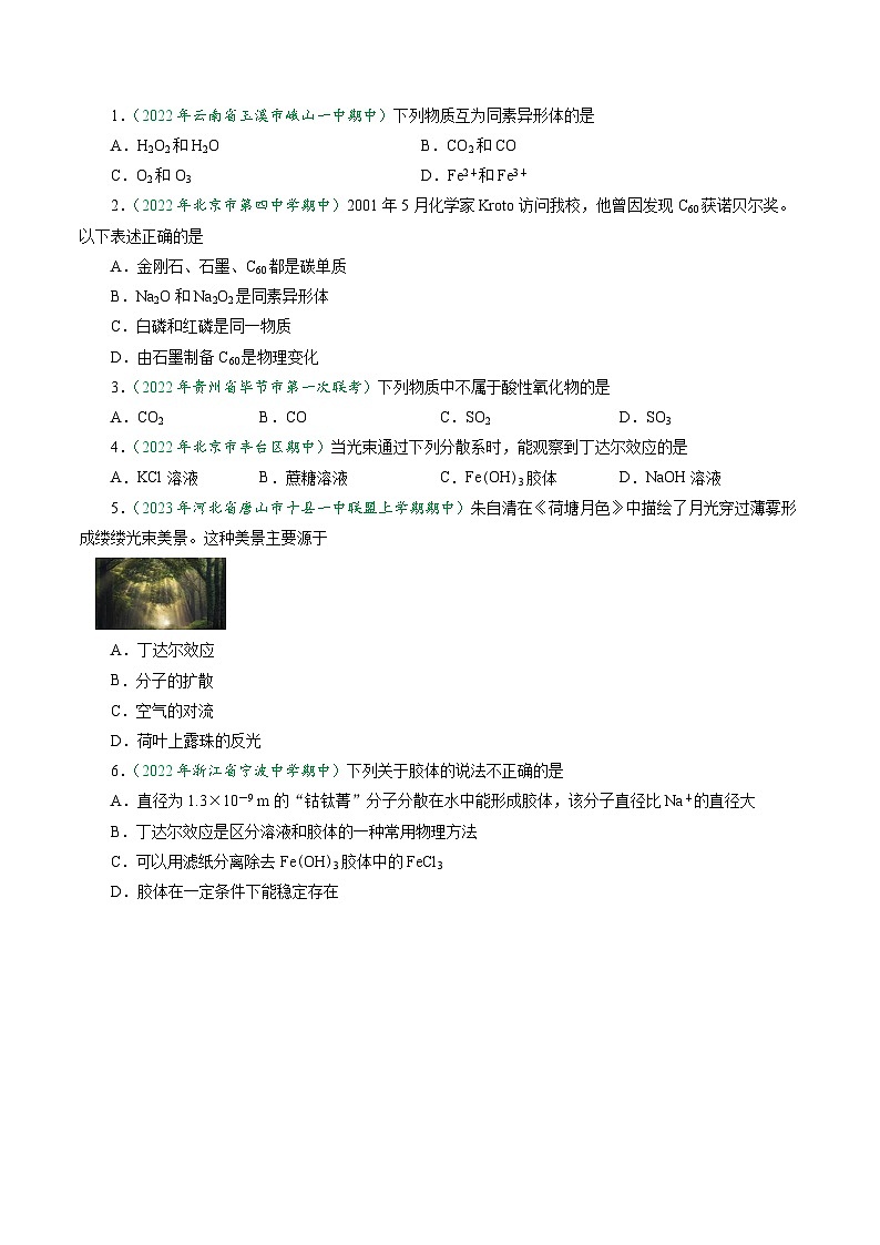 (人教版必修第一册)高一化学上册同步学与练第01课 物质的分类(原卷版 )第2页
