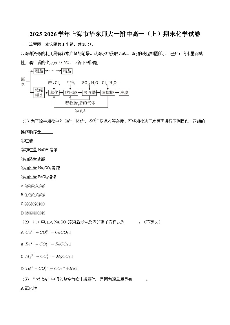 2025-2026学年上海市华东师大一附中高一(上)期末化学试卷-自定义类型第1页