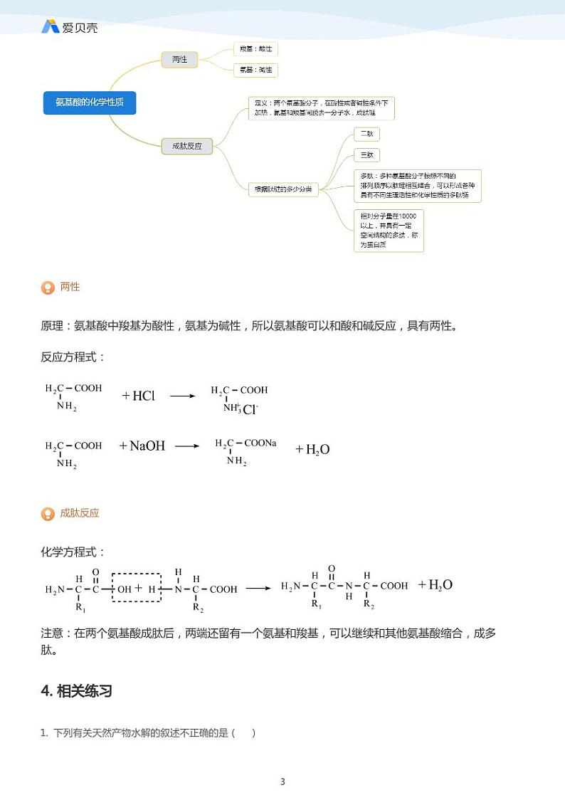第4章第三节 蛋白质和核酸(上)教案 学生版第3页