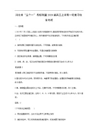 河北省“五个一”名校联盟2020届高三上学期一轮复习收官考试化学（解析版）