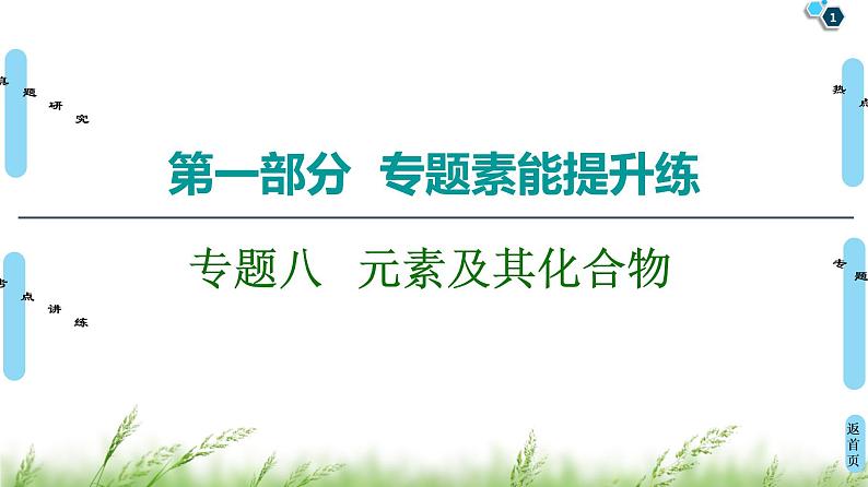2020届二轮复习 第1部分 专题8 元素及其化合物 课件(207张)01