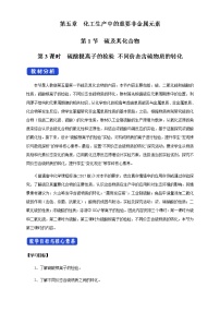 高中化學(xué)人教版 (2019)必修 第二冊(cè)實(shí)驗(yàn)活動(dòng)5 不同價(jià)態(tài)含硫物質(zhì)的轉(zhuǎn)化一等獎(jiǎng)教案及反思