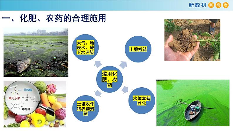 【新教材精创】8.2 化学品的合理使用 课件(2)-人教版高中化学必修第二册(共17张PPT)03