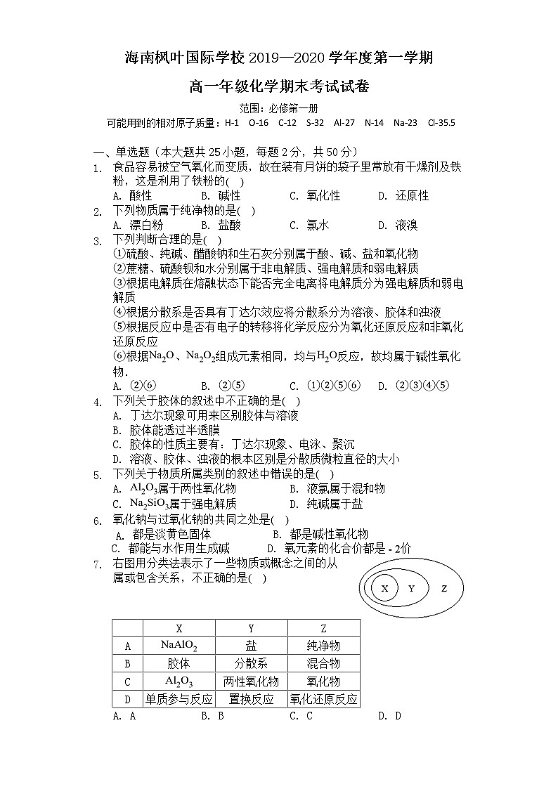 海南省海南枫叶国际学校2019-2020学年高一上学期期末考试化学试题01