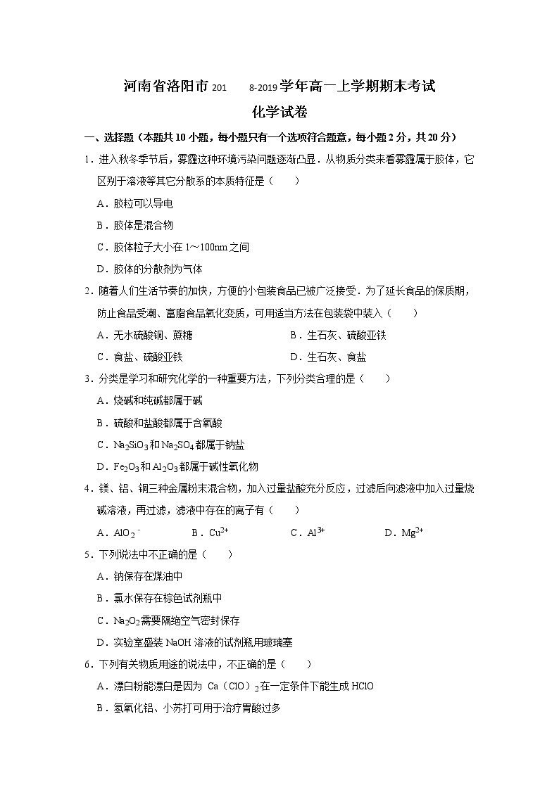 河南省洛阳市2018-2019学年高一上学期期末考试化学试题01