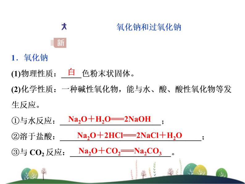 （新）人教版化学必修第一册课件：2.1 第2课时 钠的几种化合物03