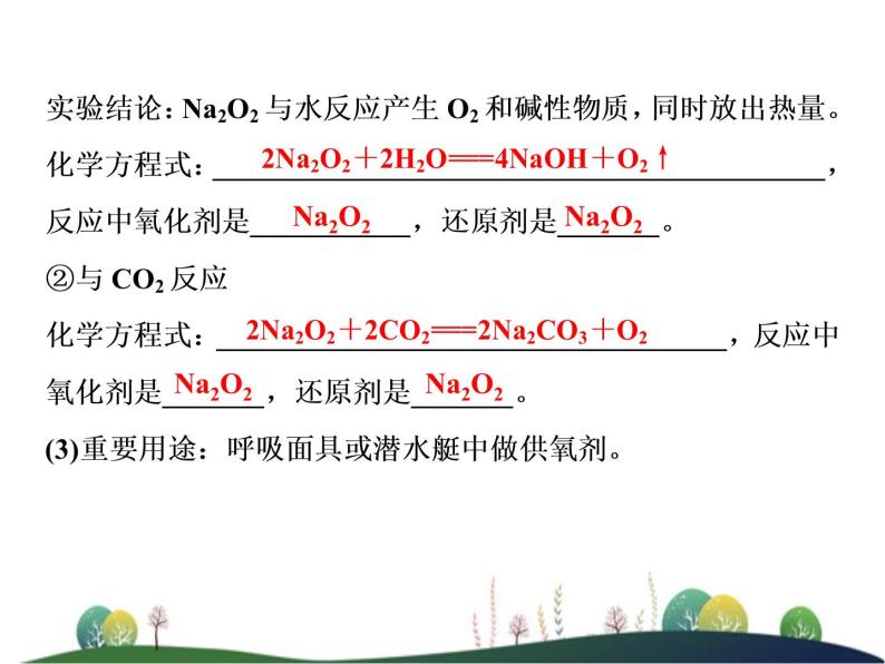 （新）人教版化学必修第一册课件：2.1 第2课时 钠的几种化合物05