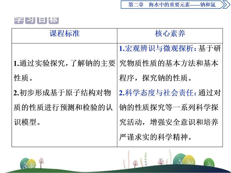 (新)人教版化学必修第一册课件:2.1 第1课时 活泼的金属单质——钠02