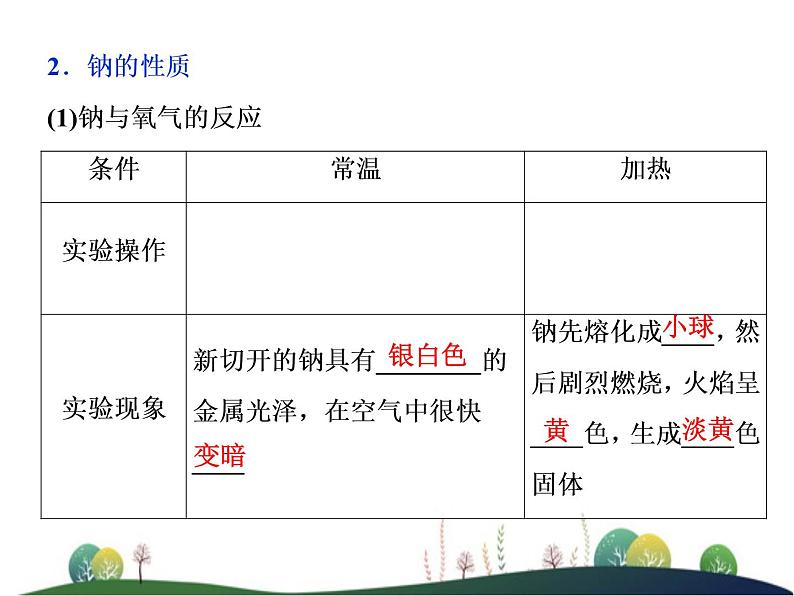 (新)人教版化学必修第一册课件:2.1 第1课时 活泼的金属单质——钠04
