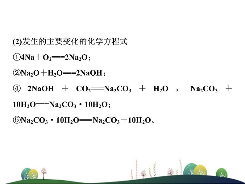 (新)人教版化学必修第一册课件:2.1 第1课时 活泼的金属单质——钠08