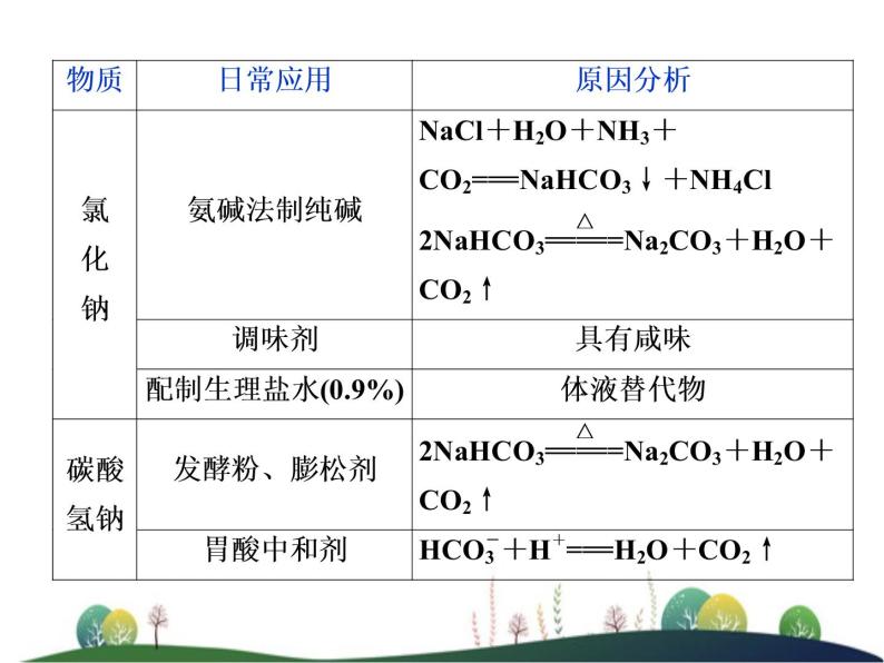 （新）人教版化学必修第一册：第二章 海水中的重要元素——钠和氯 章末整合提升课件04