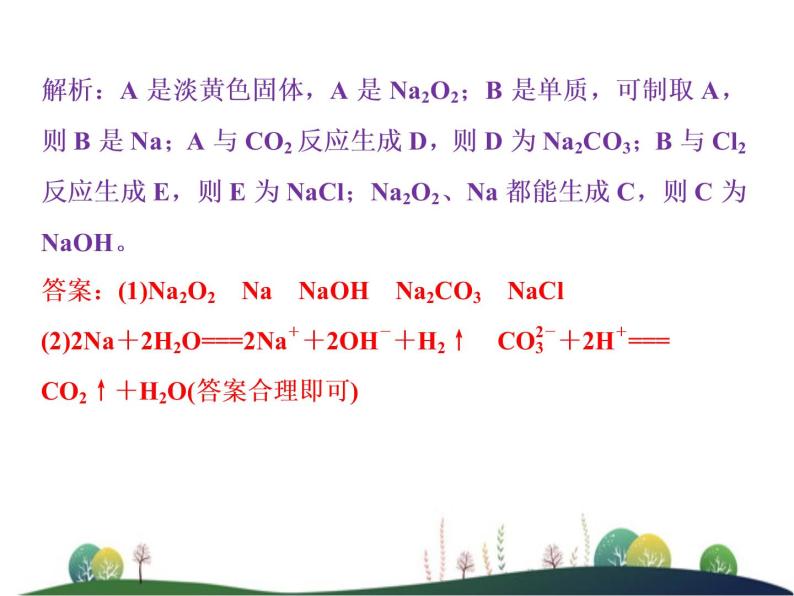 （新）人教版化学必修第一册：第二章 海水中的重要元素——钠和氯 章末整合提升课件07