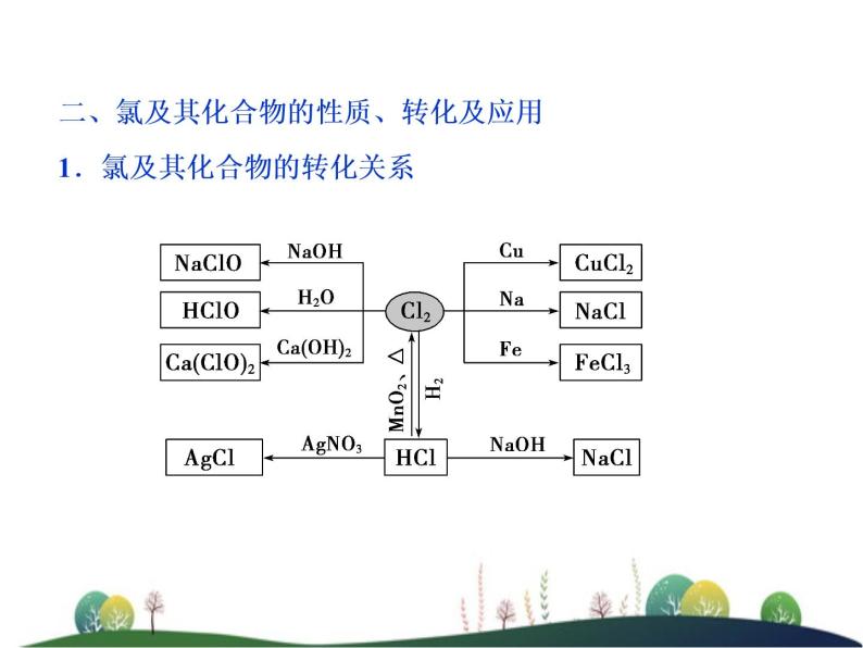 （新）人教版化学必修第一册：第二章 海水中的重要元素——钠和氯 章末整合提升课件08