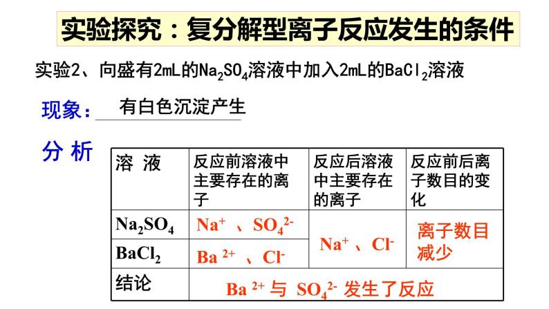人教2019必修第一册 高一化学新教材 1.2.2 离子反应与离子方程式书写 课件06