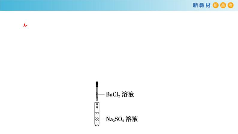 人教版必修第一册 高一化学 1.2.2 离子反应 课件04