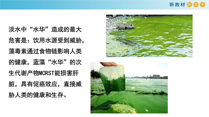 人教版高中化学新教材 必修第二册 8.3 环境保护和绿色化学 课件(2)(共17张PPT)07