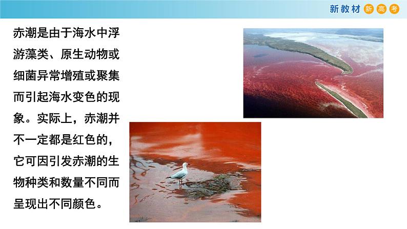 人教版高中化学新教材 必修第二册 8.3 环境保护和绿色化学 课件(2)(共17张PPT)08