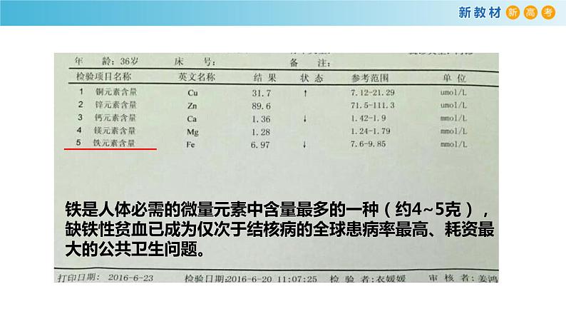 化学新教材 人教版高中化学必修第一册 3.1.1 铁的单质 铁的氧化物课件(1)02